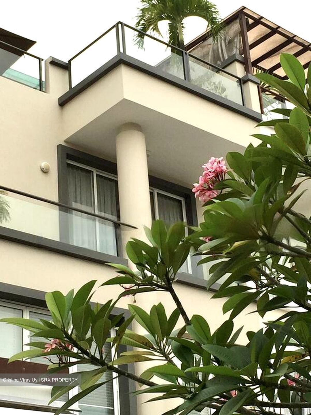 The Greenwood (D11), Terrace #444589651